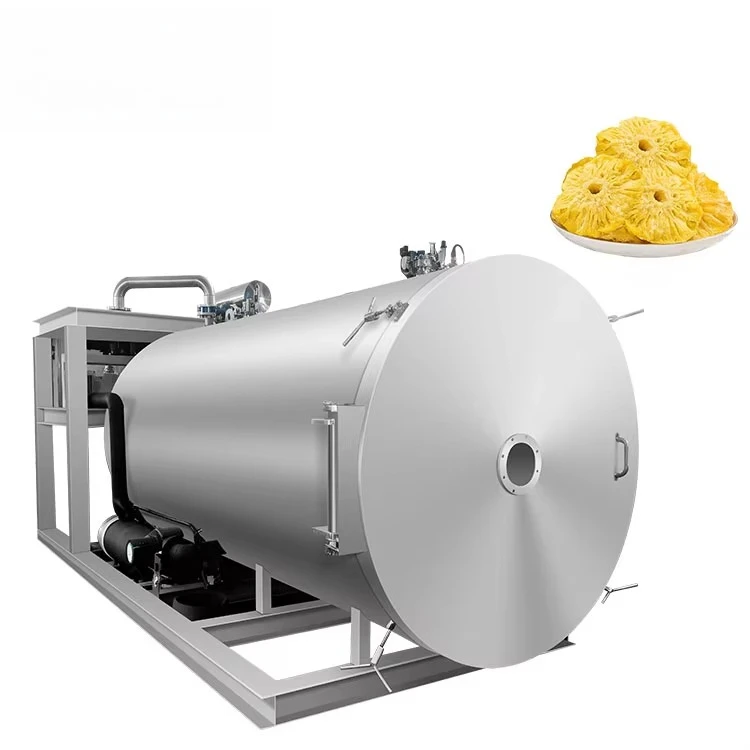 Customized High Quality Freeze Drying Machine Vacuum Lyophilizer Food Grade for Fruits Vegetables Home Business Reliable