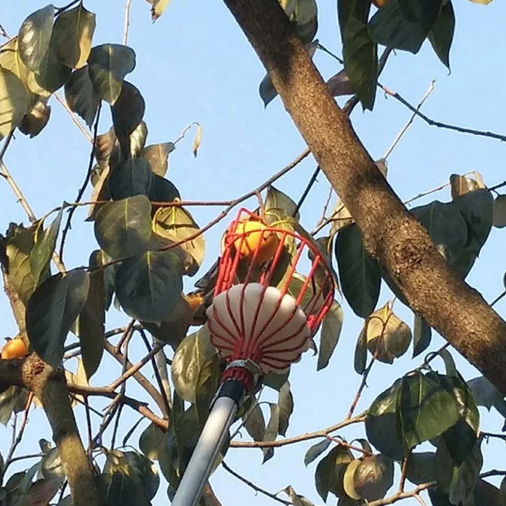 

2Pcs Durable Fruit Picker Lightweight Portable Tool for Apple Pear Peach Harvesting Fruit Harvester Jujube Picker