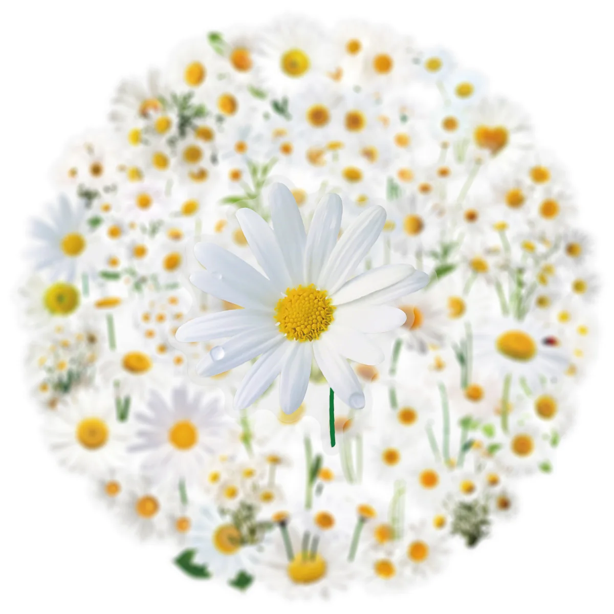 50PCS 투명 데이지/해바라기 스티커 장식 기타 노트북 방수 애완 동물 노트북 편지지 상자 꽃 스티커