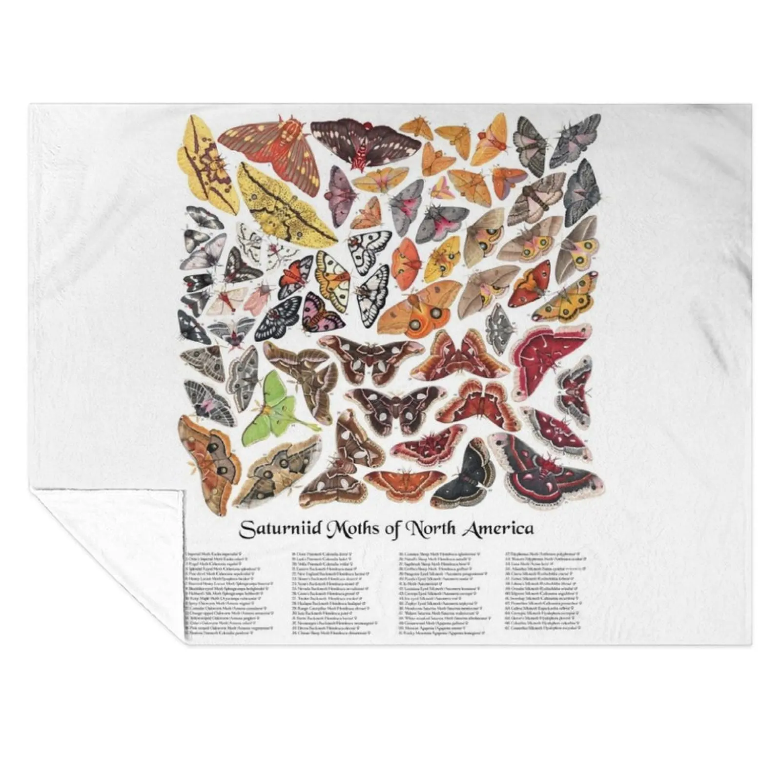 

Saturniid Moths of North America Throw Blanket Picnic Bed linens Cute Plaid Blankets