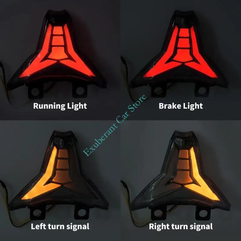 Motorcycle Rear Tail Light Assembly with Integrated Brake and Turn Signals, Smoked Gray Textured Lens, Molded Housing for Z1000