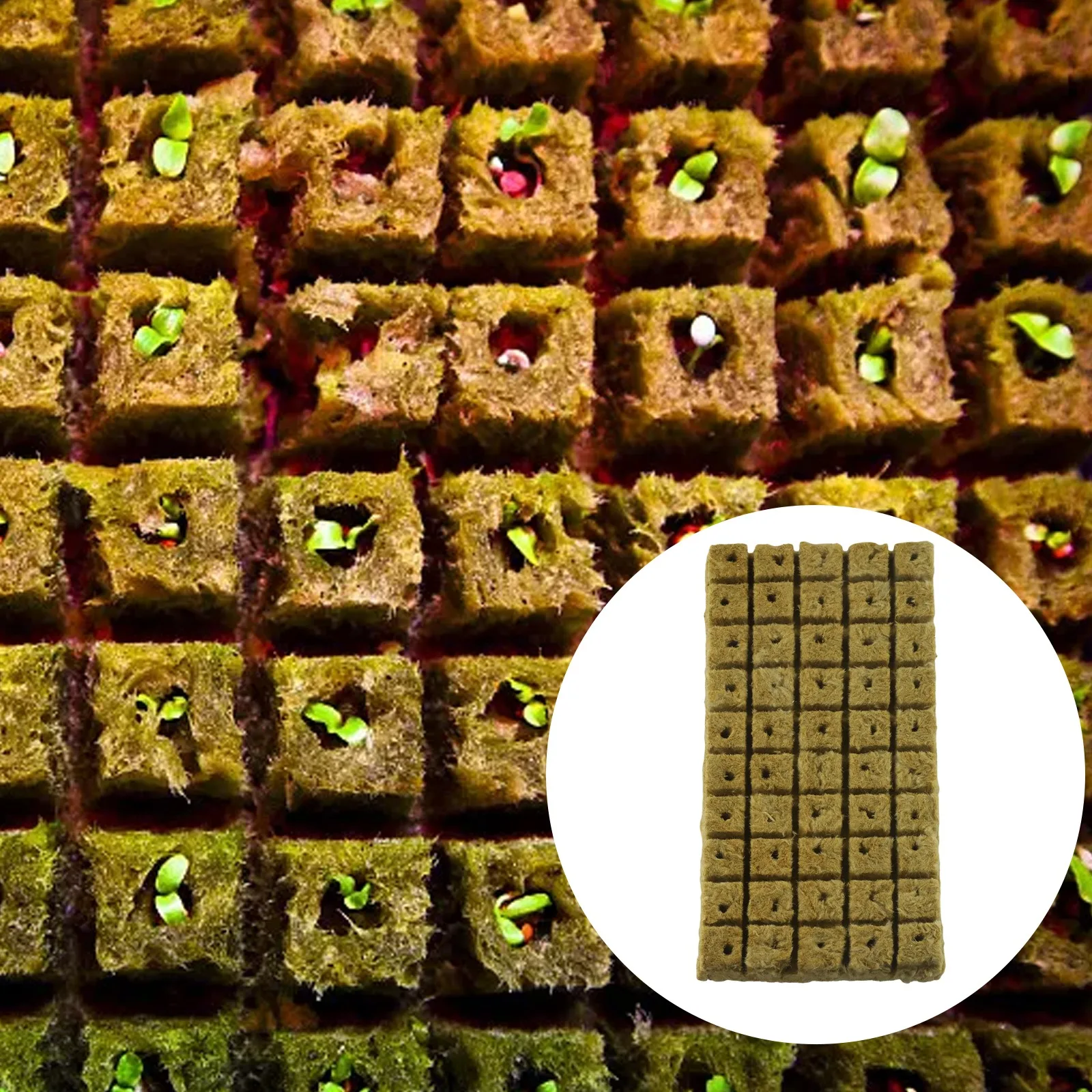 

50Pcs Plant Cloning Grow Starter Cubes with Strong Water Retention and Air Permeability for Soilless Growing Systems