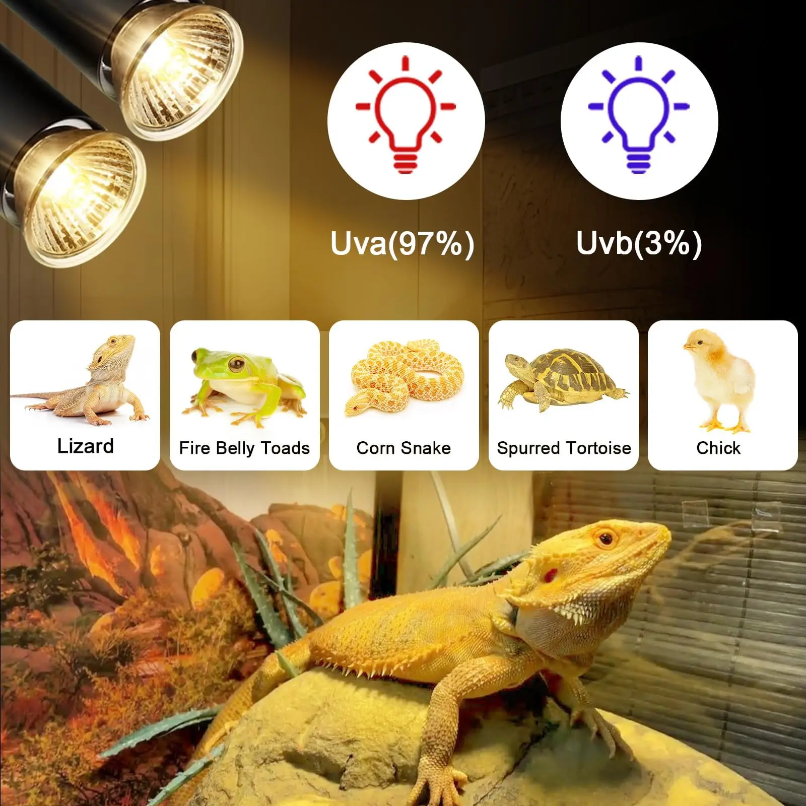 Thumbnail 3 - #23 Cheap Reptile Heat Lamps Worth Buying