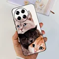 case-c01