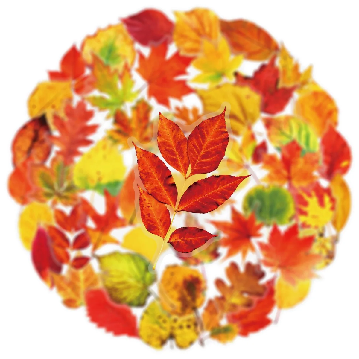 Рисунок 4 - прозрачные наклейки в скандинавском