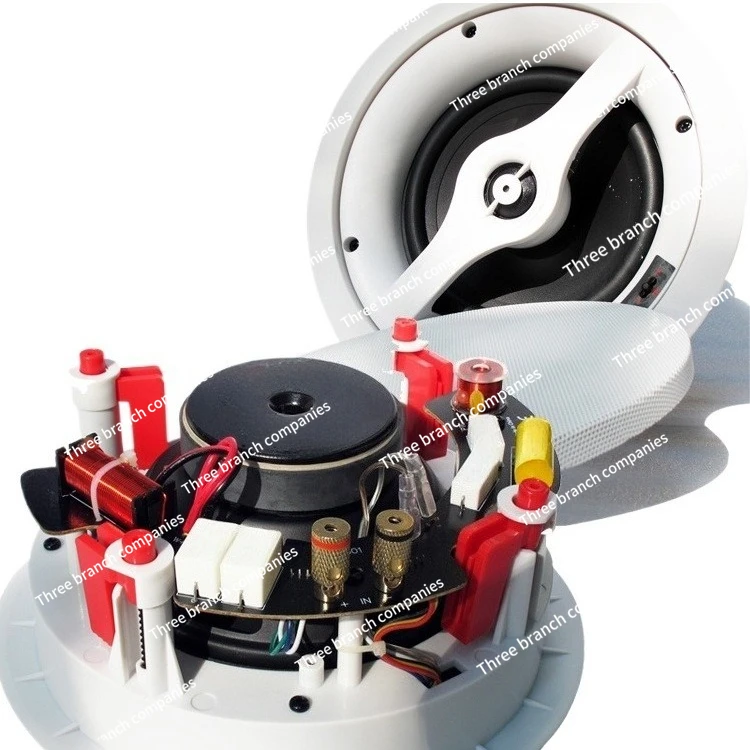 

6.5 inch professional two-way conference speaker