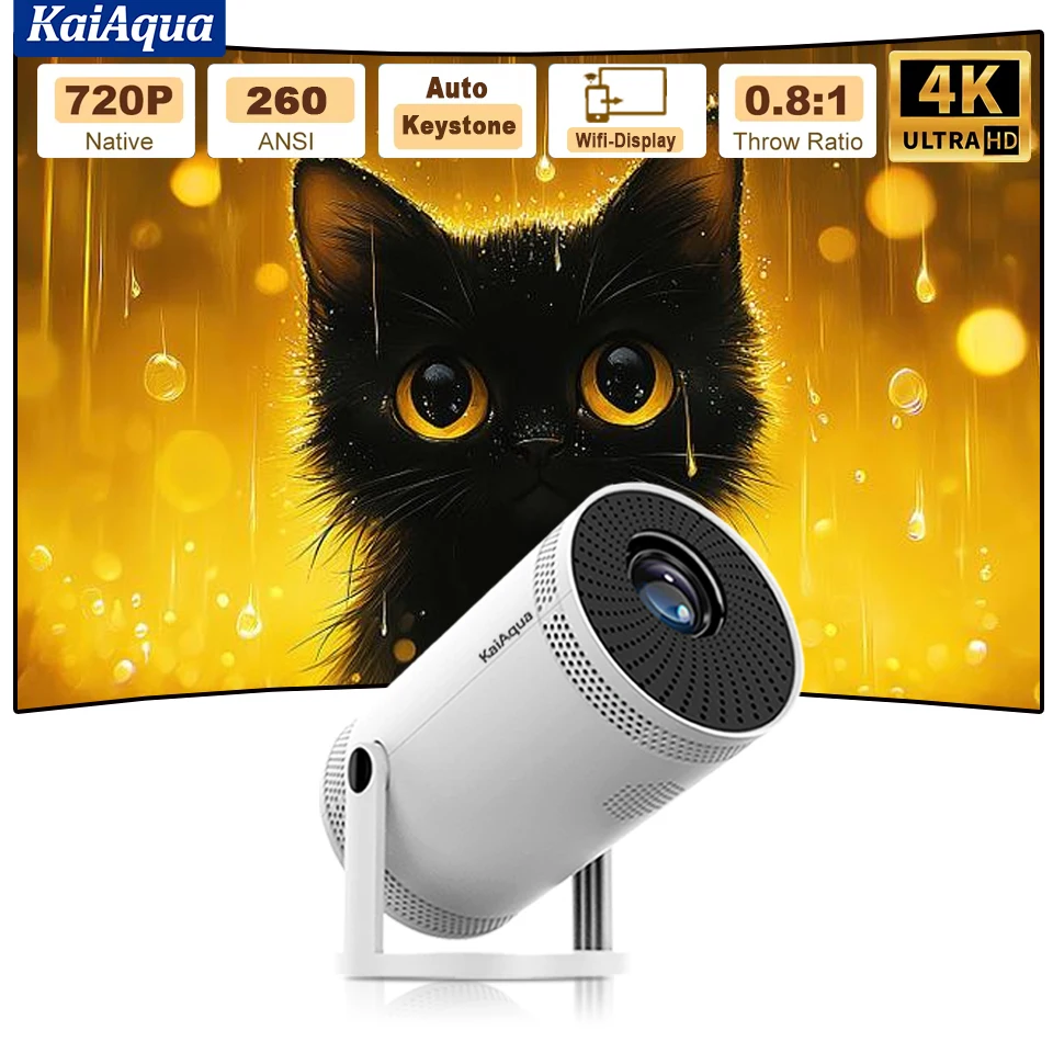 In Stock 4K Home Pr… - image