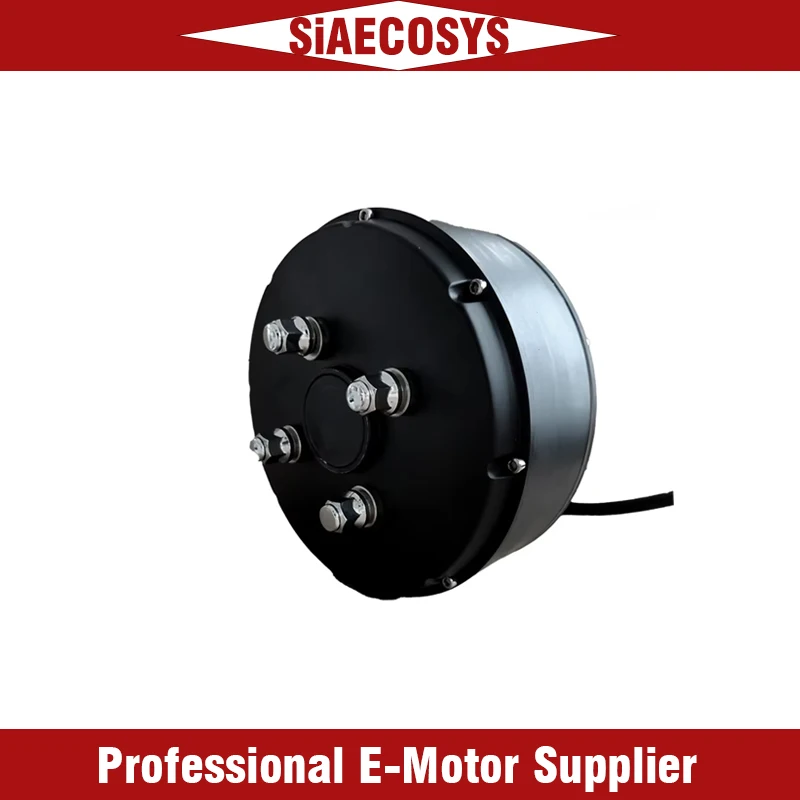 1000W Single Shaft Hub Motor QS205 for Electric Car Golf Cart High Torque EV Conversion Kit