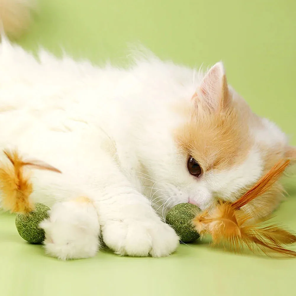 Cat Mint Ball Feather Catnip Ball Self Cleaning Teeth Grinding Ball Feather Toy Ball Pet Toys Cat Supplies Pet Cleaning Tool view 3