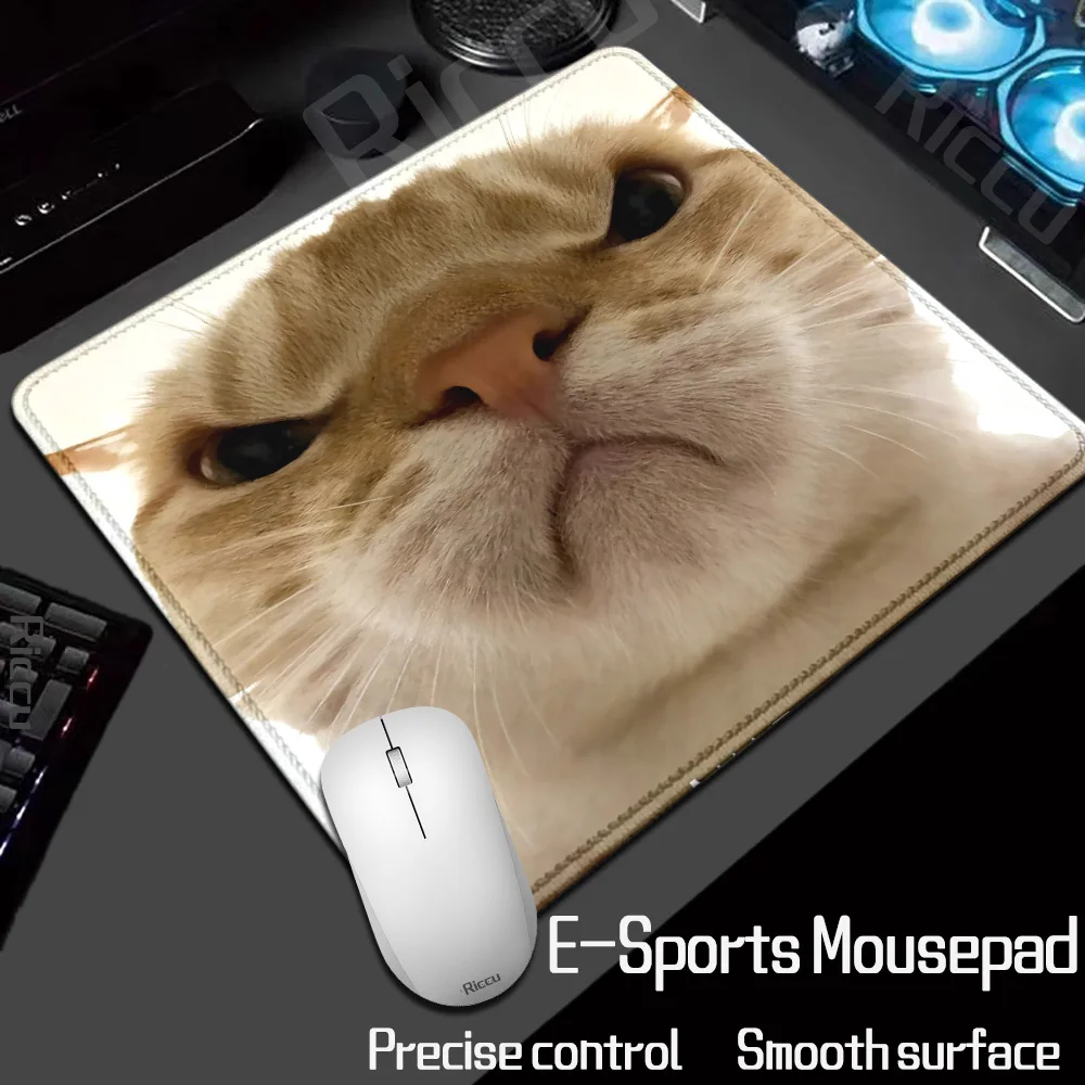 

XL Cat meme Small Mouse Pad Gaming Laptops Mousepad Gamer Carpet Keyboard Desk Mat Protector 18x22cm Cartoon Cup protection pad