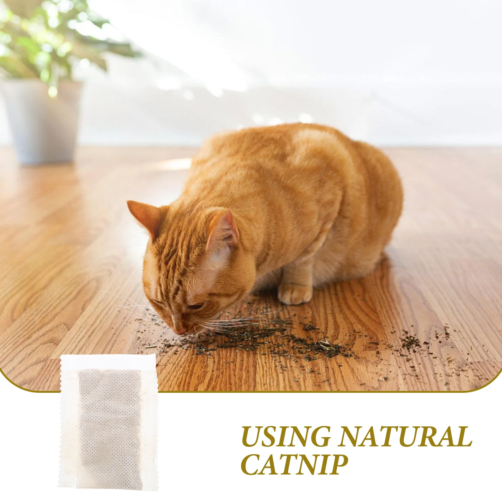 

10pcs Catnip Tea Multipurpose Snack Grass Teabag Drinking Replacement Indoor Hydration Pet Supplies