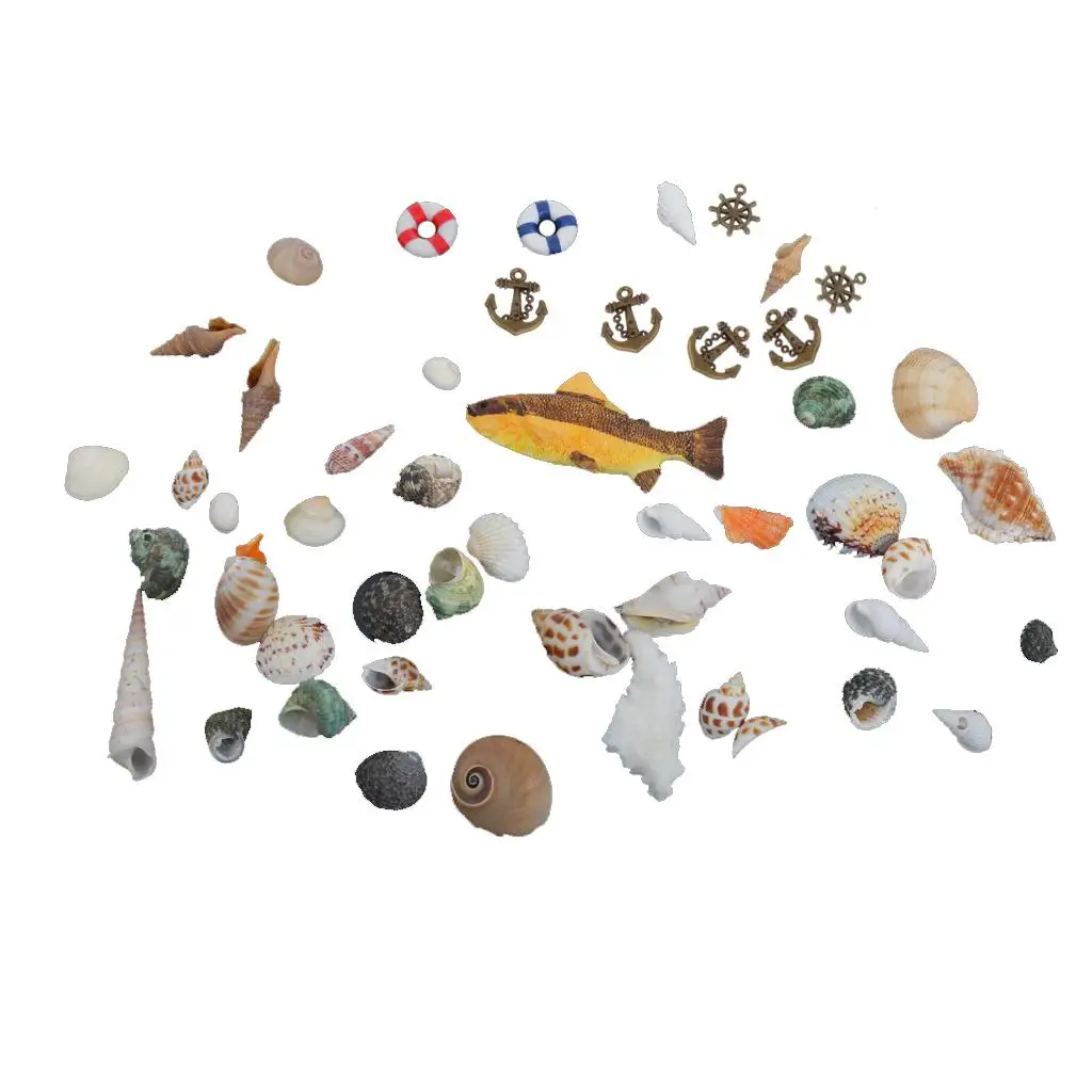 Natural Sea Shells and Plastic Fish Set Nautical Beach Ornaments Marine Shells Decor for Wedding Party Decoration Crafts