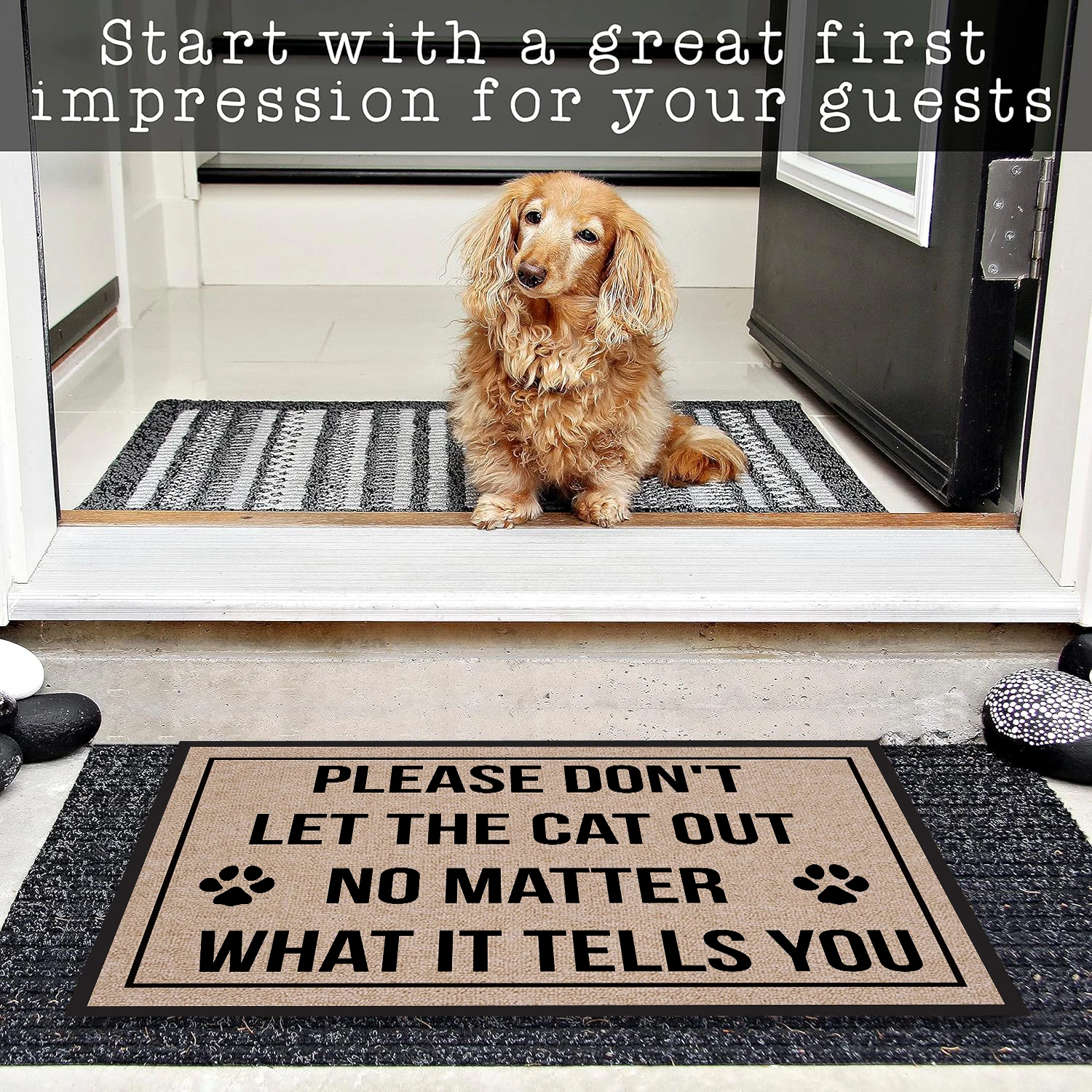 من فضلك لا تخرج القطة لا توهم ما يخبرك ممسحة المطاط الحمام المطبخ حصيرة حديقة المرآب باب الكلمة حصيرة