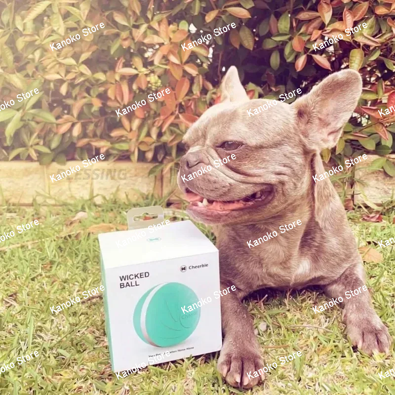 Smart Pet Toy Automatic Dog Ball ThCats' and Dogs' Best Interactive Toy