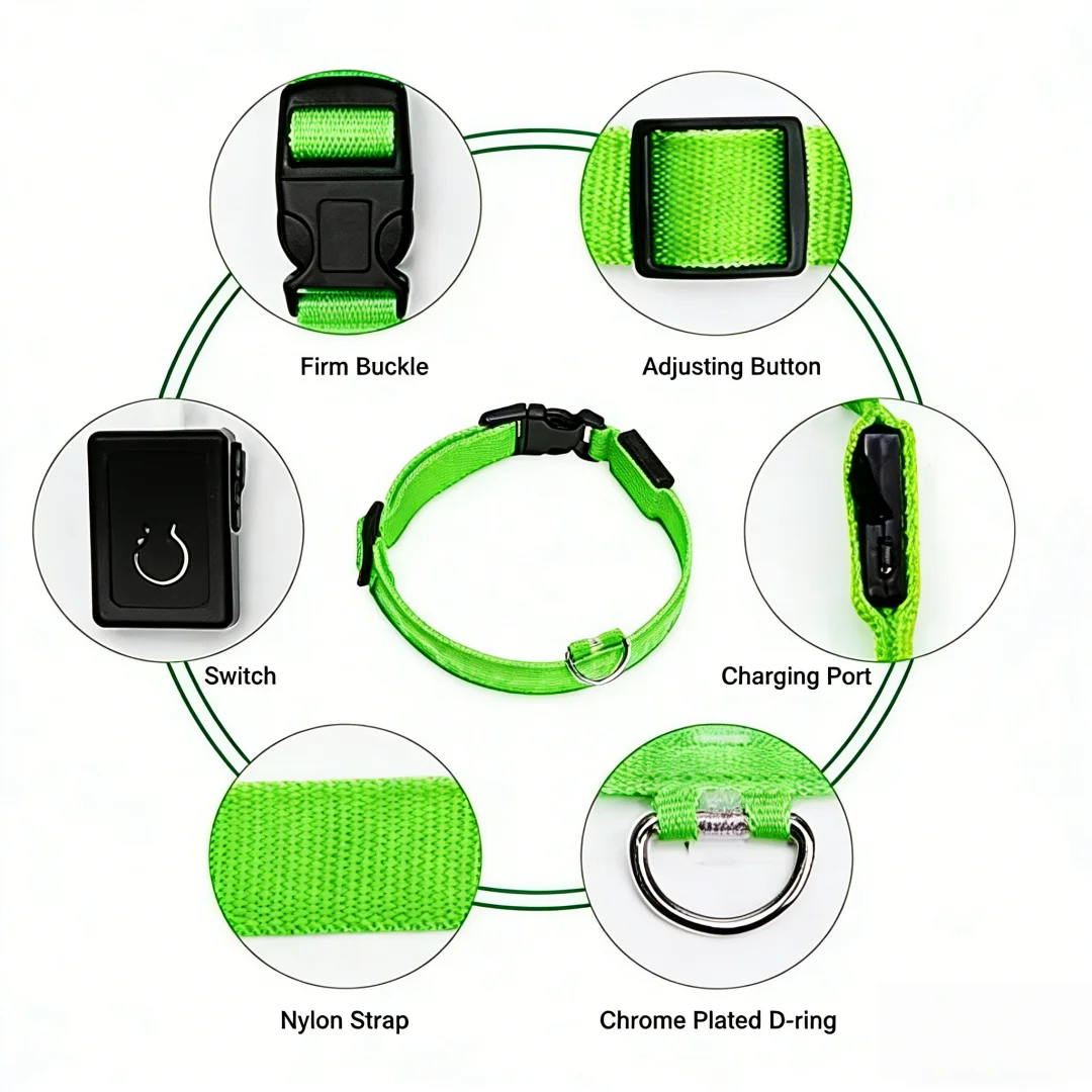 Thumbnail 2 - #60 Best Dog Collars to Buy In 2026