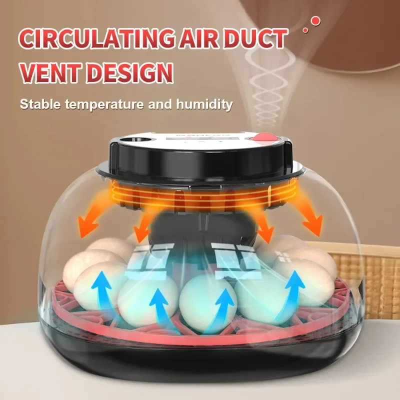 

100-240V with Flashlight for Automatic 12H Chicken Quail Egg Incubator Temperature and Humidity Display Automatic Egg Turning