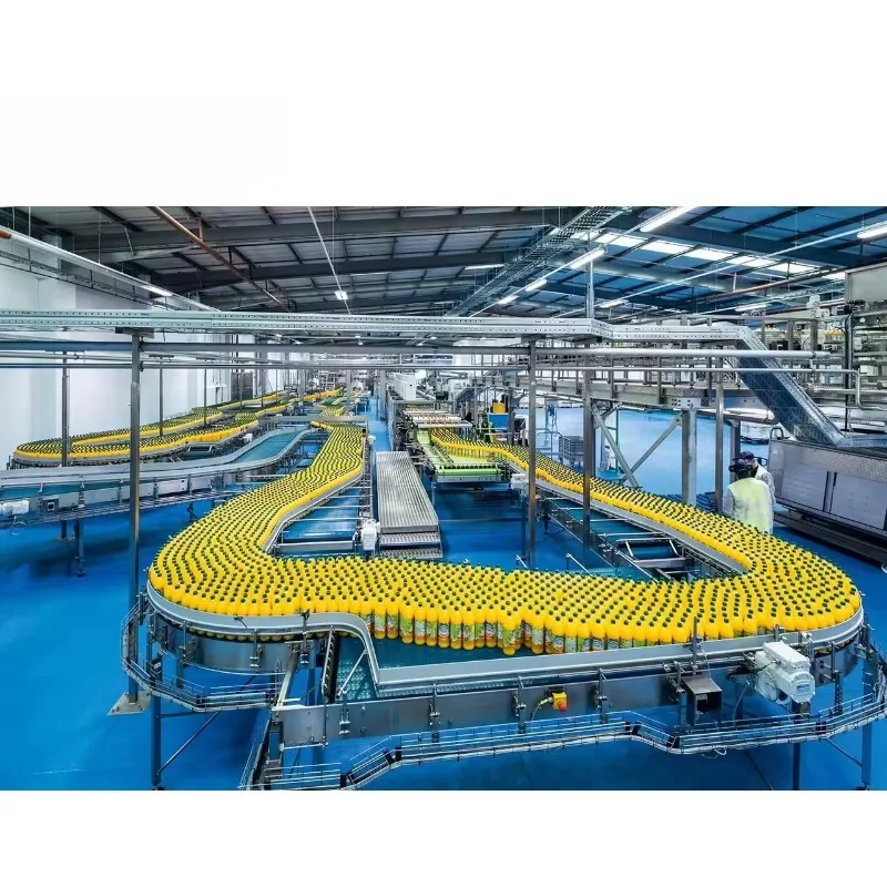 Automatic Customized Concentrated Beverage Lemon Apple Juice Hot Filling Machine Production Line