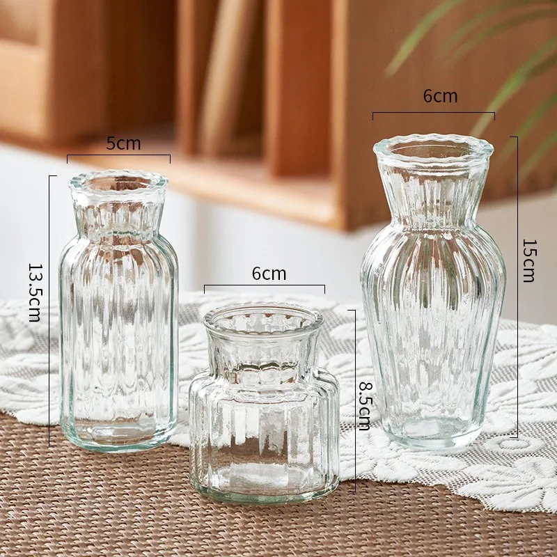 1pc Nordic Creative Transparent Vases for Plant Bottle Flower Pot Hydroponic Terrarium Arrangement Container Flower Table Vase