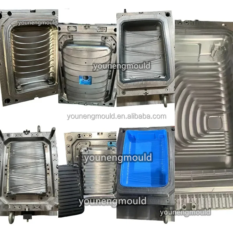 Professional Maker China High Quality Luggage/Cap/Blow Mould for Injection Plastic Mold