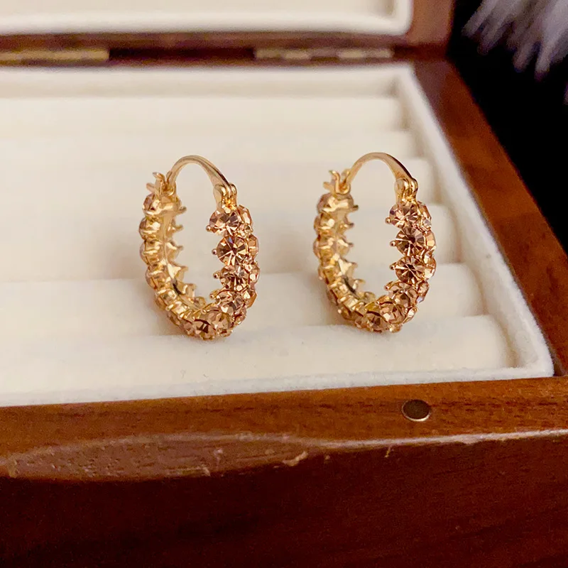 

Elegant Brown Circle Zircon Stud Earrings Retro Luxury Minimalist Design High-End Feelings Fashionable Accessory for Women