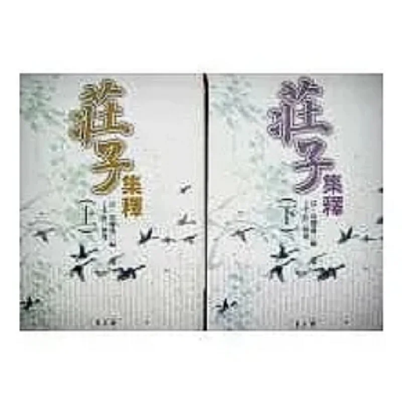 The Collected Explanations Of Zhuangzi Part 1Part 2 Guo Qingfan Wanjuan Tower 9789577395962 Book