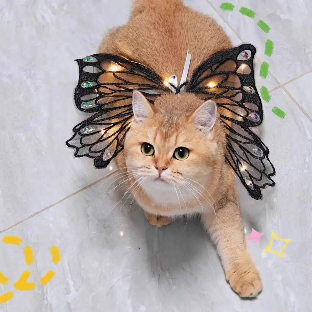 New Glowing Dog Wing Butterfly Sweet Pet Back Decoration for Small Medium Gift Cat Accessories