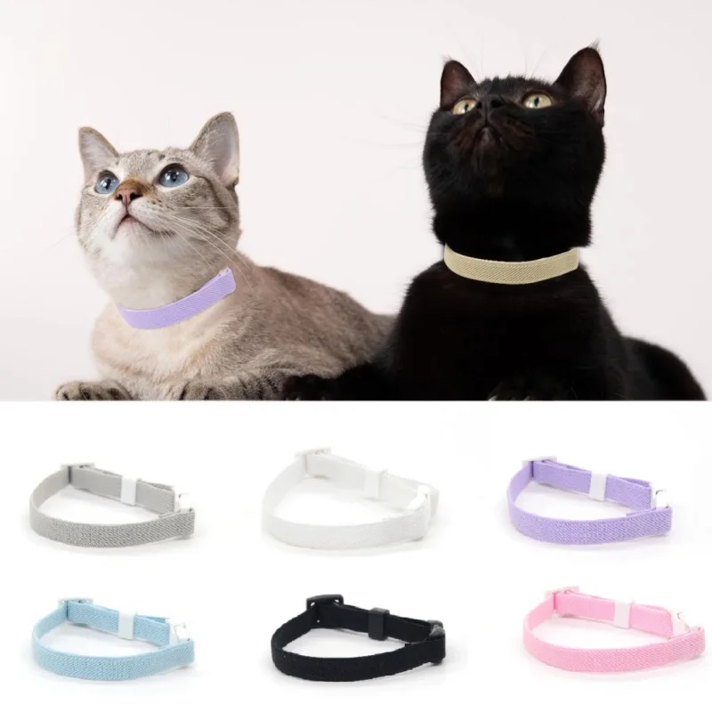 yZ[zt@bVSLփXgb`e - qLpyʁAׂĂ̏^^LpAqybgANZT[