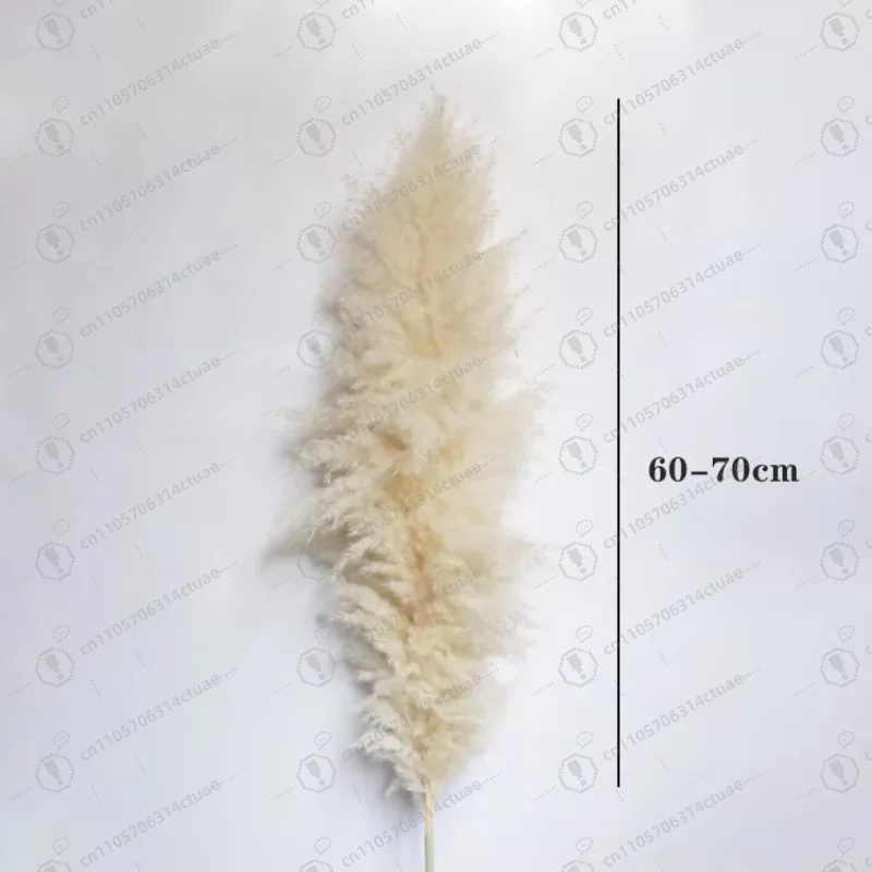 

Natural reed pampas reed dried flower bouquet living room real bouquet home decoration