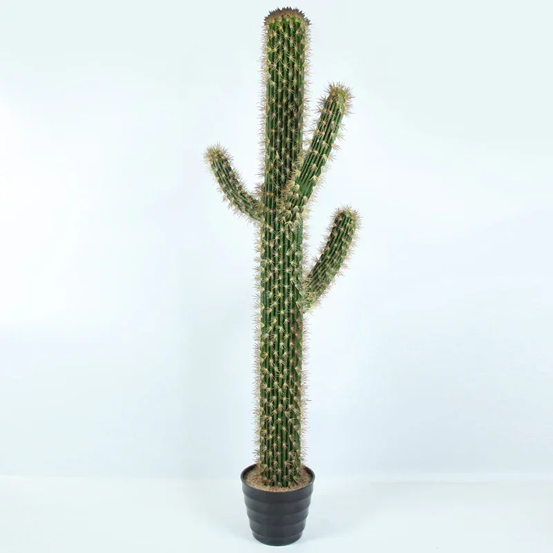 

Supplier Artificial potted Decorative plants outdoor simulation cactus