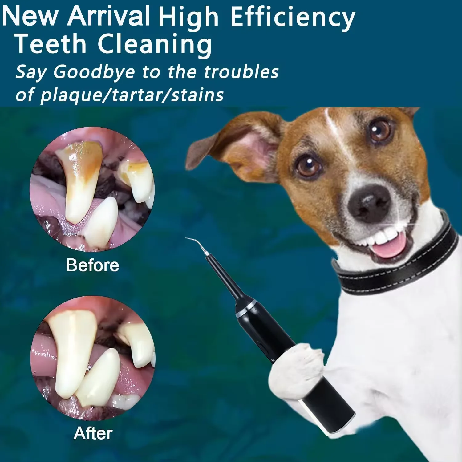 2024 Pet Brush Set Dog Plaque Remover Dog Struvite Eliminator Electric Toothbrush Set With Eleven Accessories