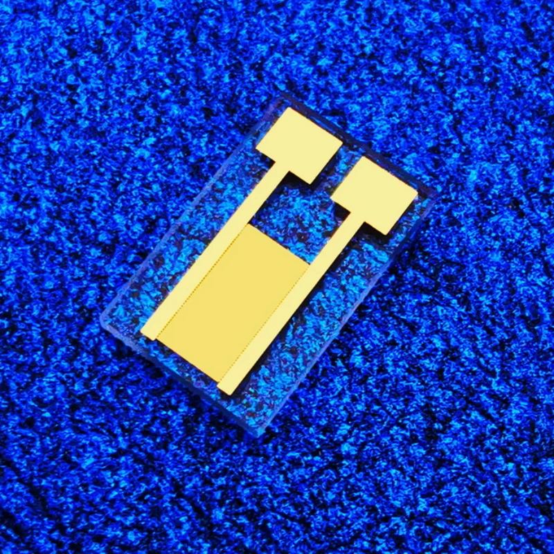 Imagem -02 - Armadura da Capacitância Eletrostática 20 Mícrons Silicone Baseado Detecção Fotoelétrica de Mems da Poluição do Gás Peças