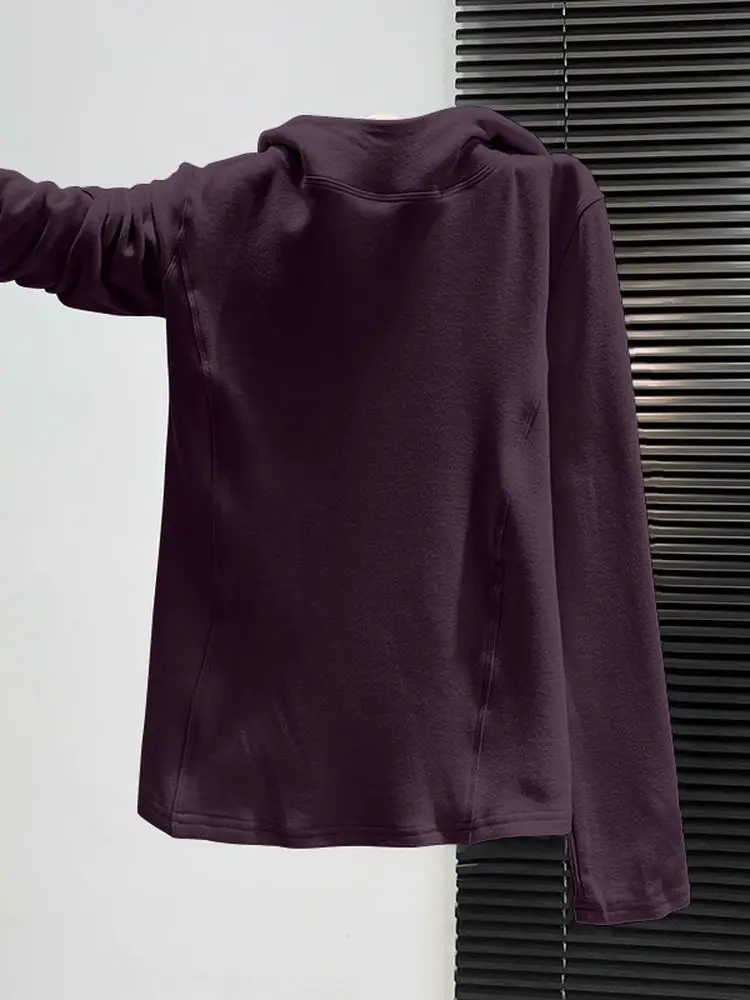 

Двусторонняя флисовая толстовка с длинными рукавами для женщин, зимняя повседневная свободная кофта, базовый слой, простой корейский стиль, свитшот