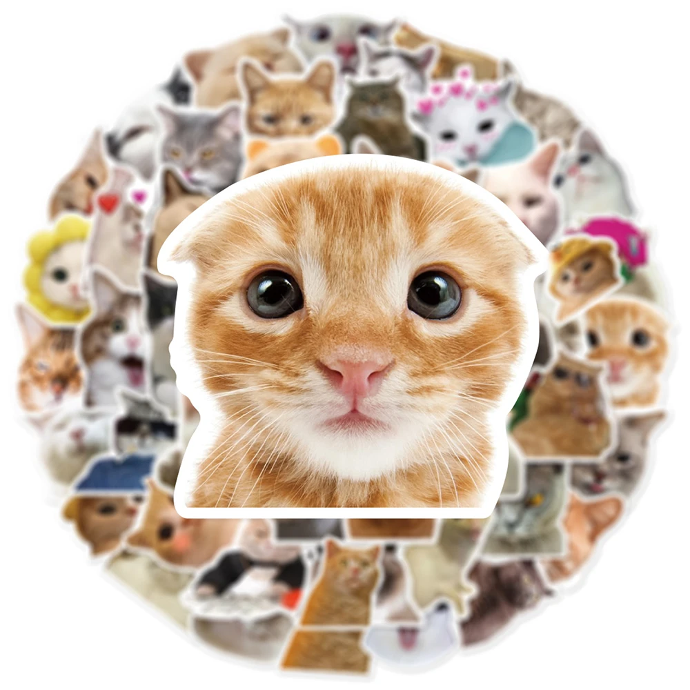 

10/30/50pcs Cute Cat Stickers Funny Animal MEME Graffiti Decals Stationery Suitcase Helmet Laptop Waterproof Decoration Sticker
