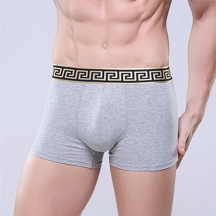 Retail Men\'s Cotton Underwear New Pure Cotton Fabric Trendy Boxers Boxer Shorts High-End Hot Men Underwear Sexy