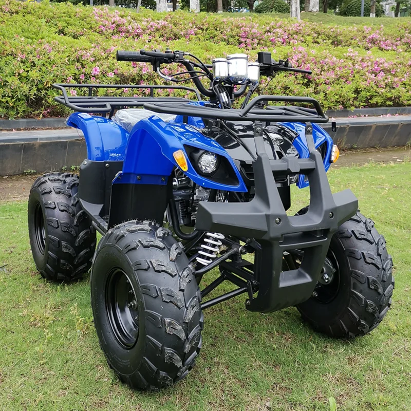 110CC Automatic Quad Bike ATV with CE Certification Featuring Chain Drive Transmission System