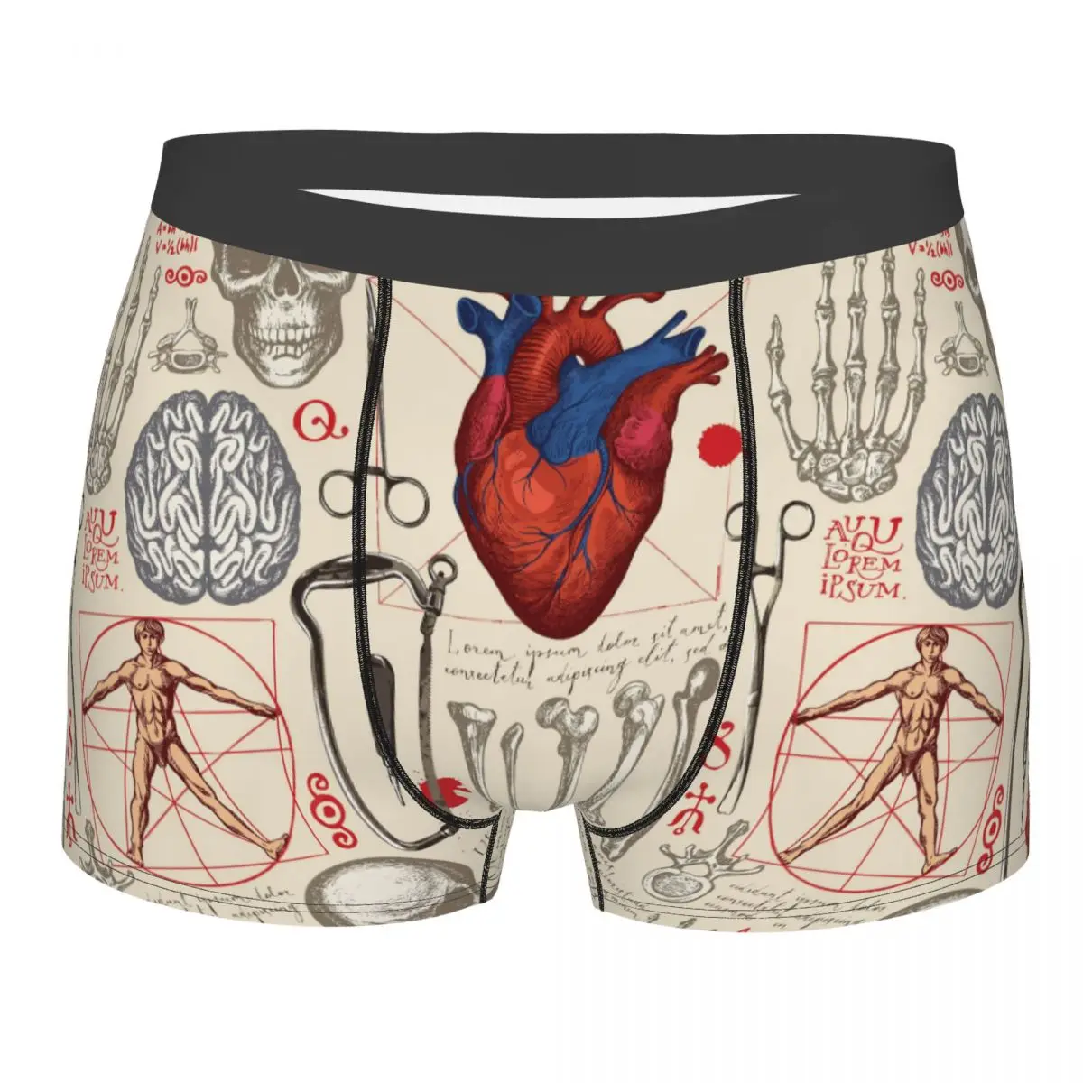 

Custom Male Sexy Human Anatomy Printed Underwear Boxer Briefs Men Breathable Shorts Panties Underpants