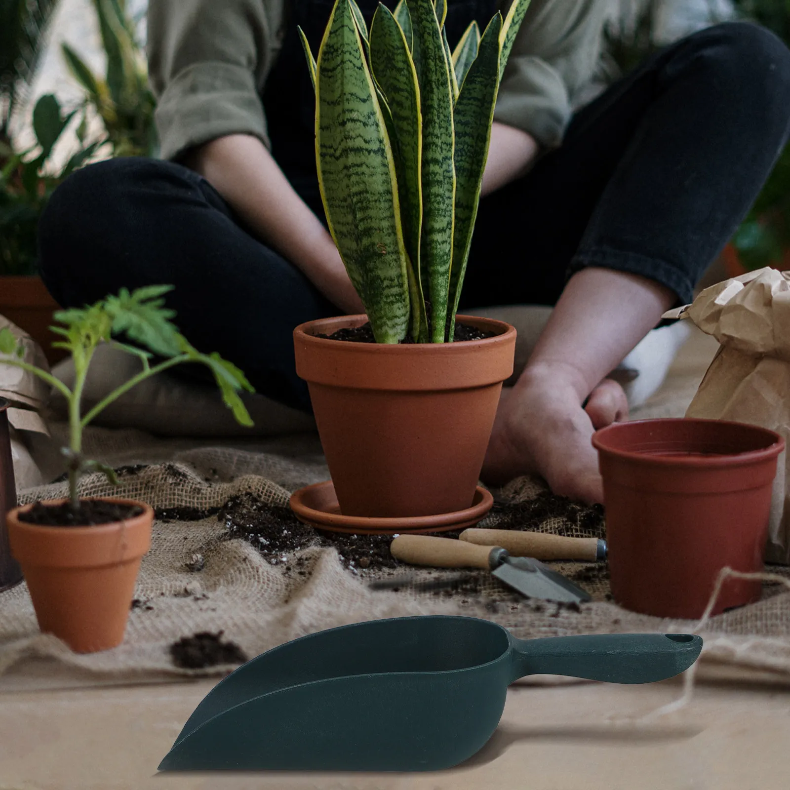 Pala de Jardín, Pala de Mano P - Garden Hand Trowel reseña y precio