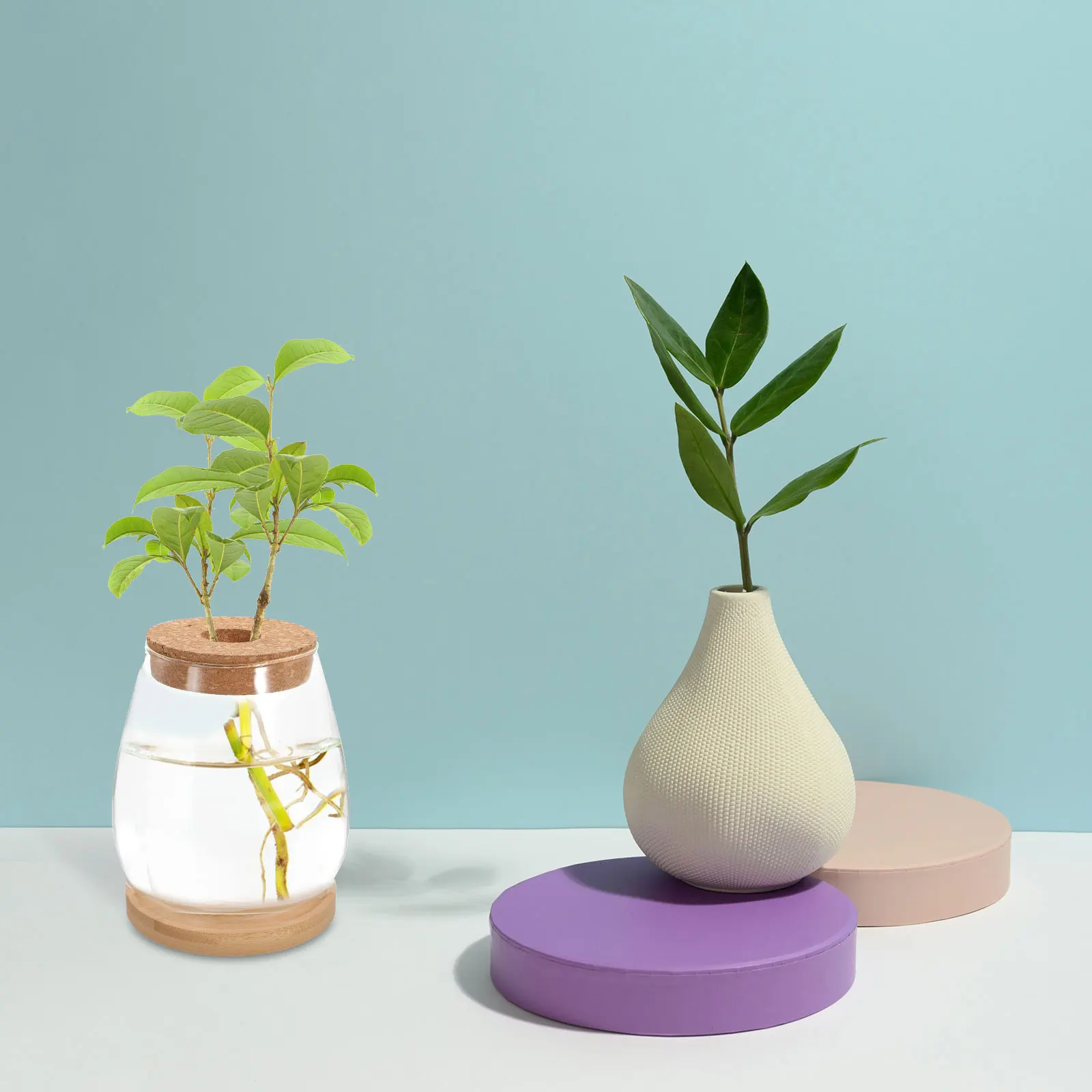 

1 set Glass Terrarium Plant Bottle Vase Desktop Planter Hydroponic Eco Jar Bamboo Lid Holder Micro Landscaping Container Decor