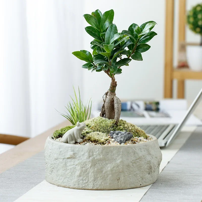 

Винтажный крупный керамический цветочный горшок, гидропонные цветочные садовые горшки, аксессуары для цветов