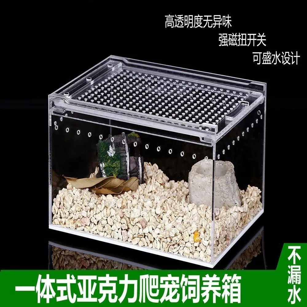 Crawler pet box acrylic beetle pet turtle fish landscape climbing pet salamander breeding box integrated