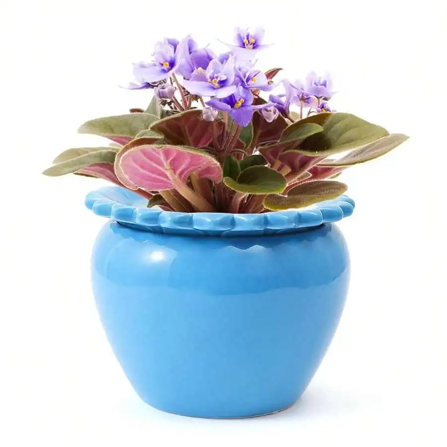 

African Violet Pots 6.5 * 4.6 Inch Blue Ceramic Easy Plant Se- Watering Pot Blue Ceramic Flowerpot With Water Abs