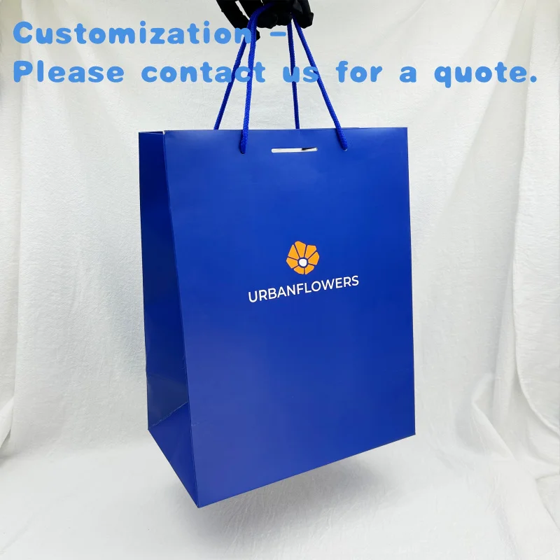 

custom.Luxury Retail Shoes and Clothes Cardboard Shopping Paper Bags with Handle Print Boutique