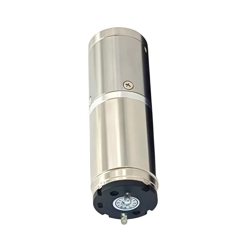 16mm Miniature DC Hollow Cup Reduction Motor, Capable of Forward and Reverse Rotation and Adjustable Speed, 12V Motor