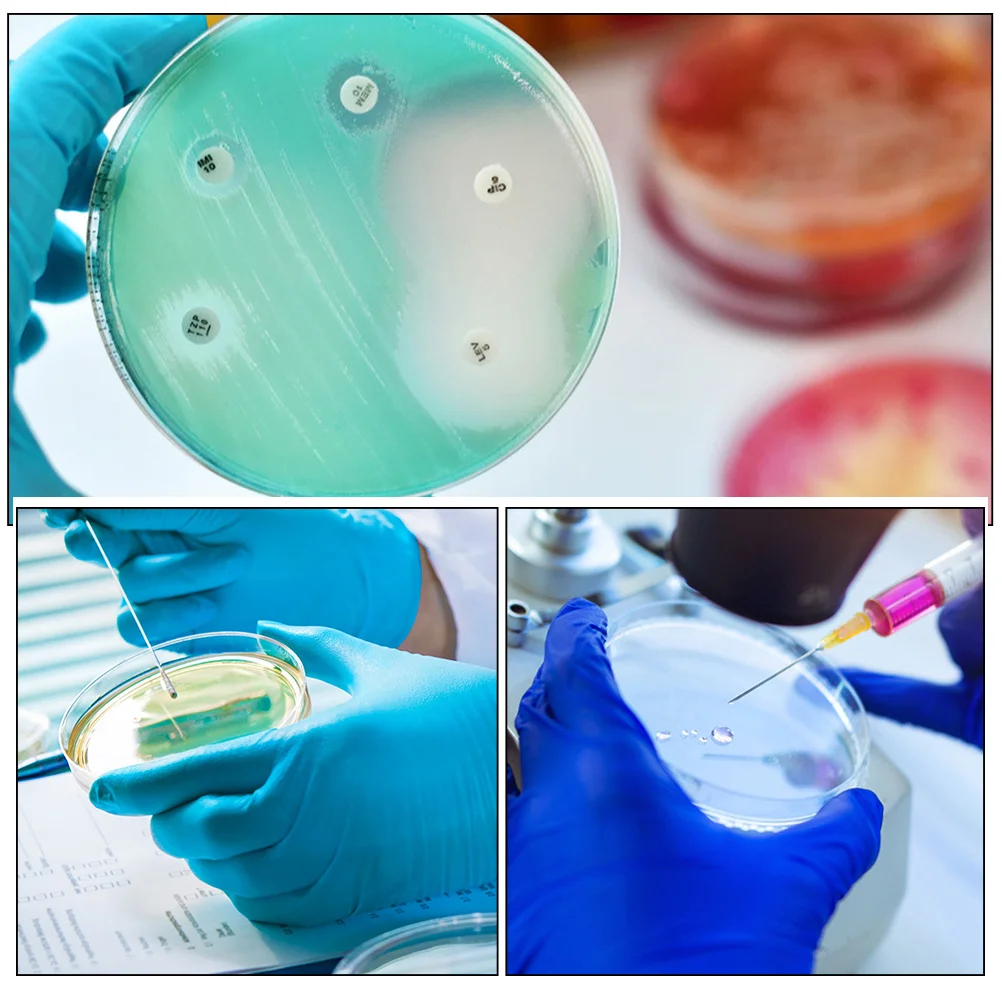 

10pcs Clear Plastic Petri Dish With Lid For Science Plate Experiments Bacteria Cell Tissue Agar Plates Laboratory