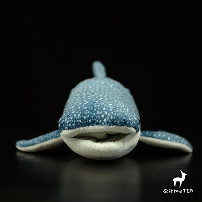 gift model Whale shark