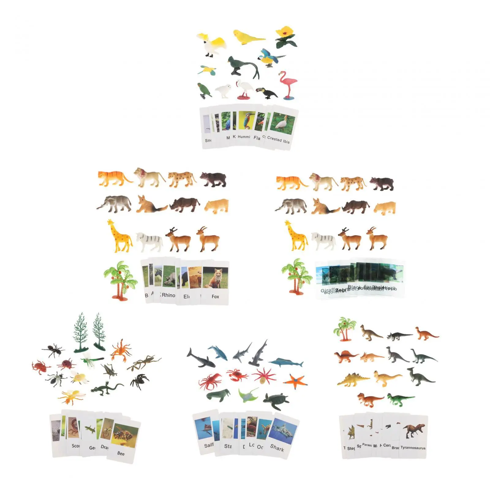 Montessori Animal Figures with Flash Cards Montessori Materials for Teaching Aid Homeschool Science Cognitive Holiday Present view 4