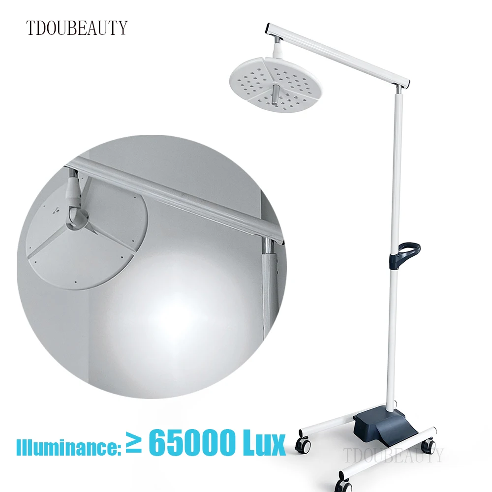 

2026 Style 65000 Lux Portable Electric Floor-standing Mobile Surgical Operating Lamp for Dental Examination， Pet hospital