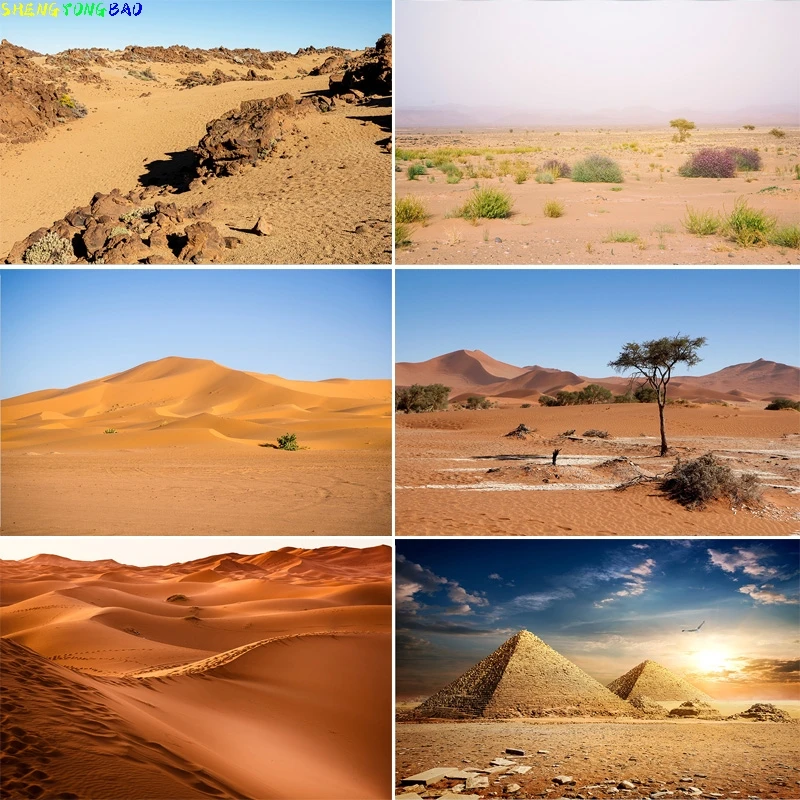 

Vast Sand Dunes Blazing Sun Desert Photography Backdrops Sunset Sky Rocks Safari Landscape Dried Tree Birthday Background DS-03