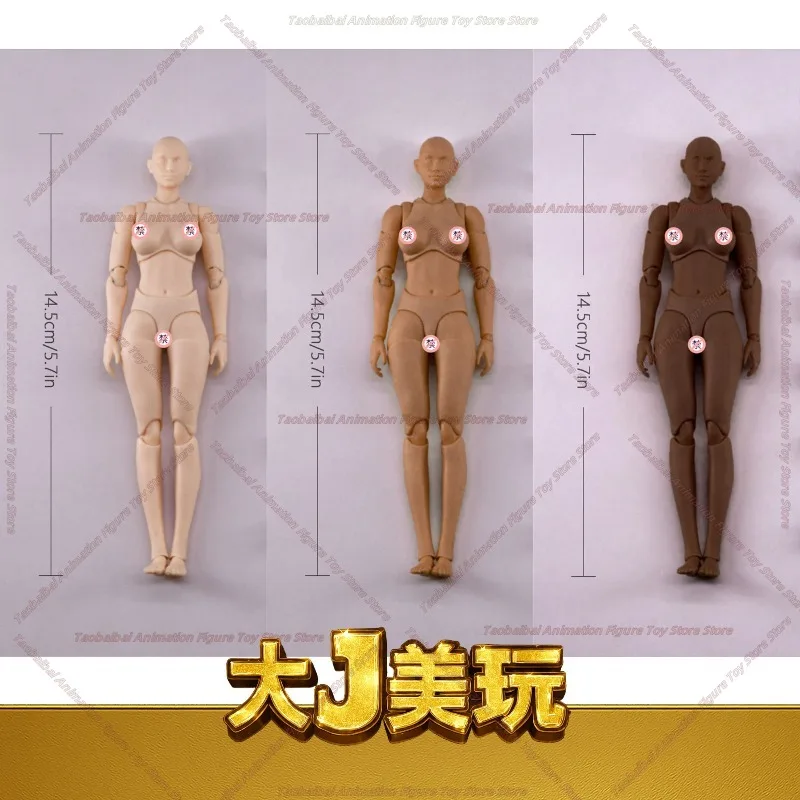 

Коллекционная кукла-модель Wind Toys 1/12: суперподвижное женское тело, подарок для коллекционеров