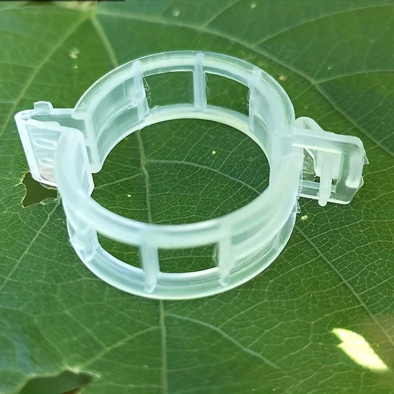 50/100pcs Plastic Plant Clips Supports Connects Reusable Protection Grafting Fixing Tool Gardening Supplies for Vegetable Tomato